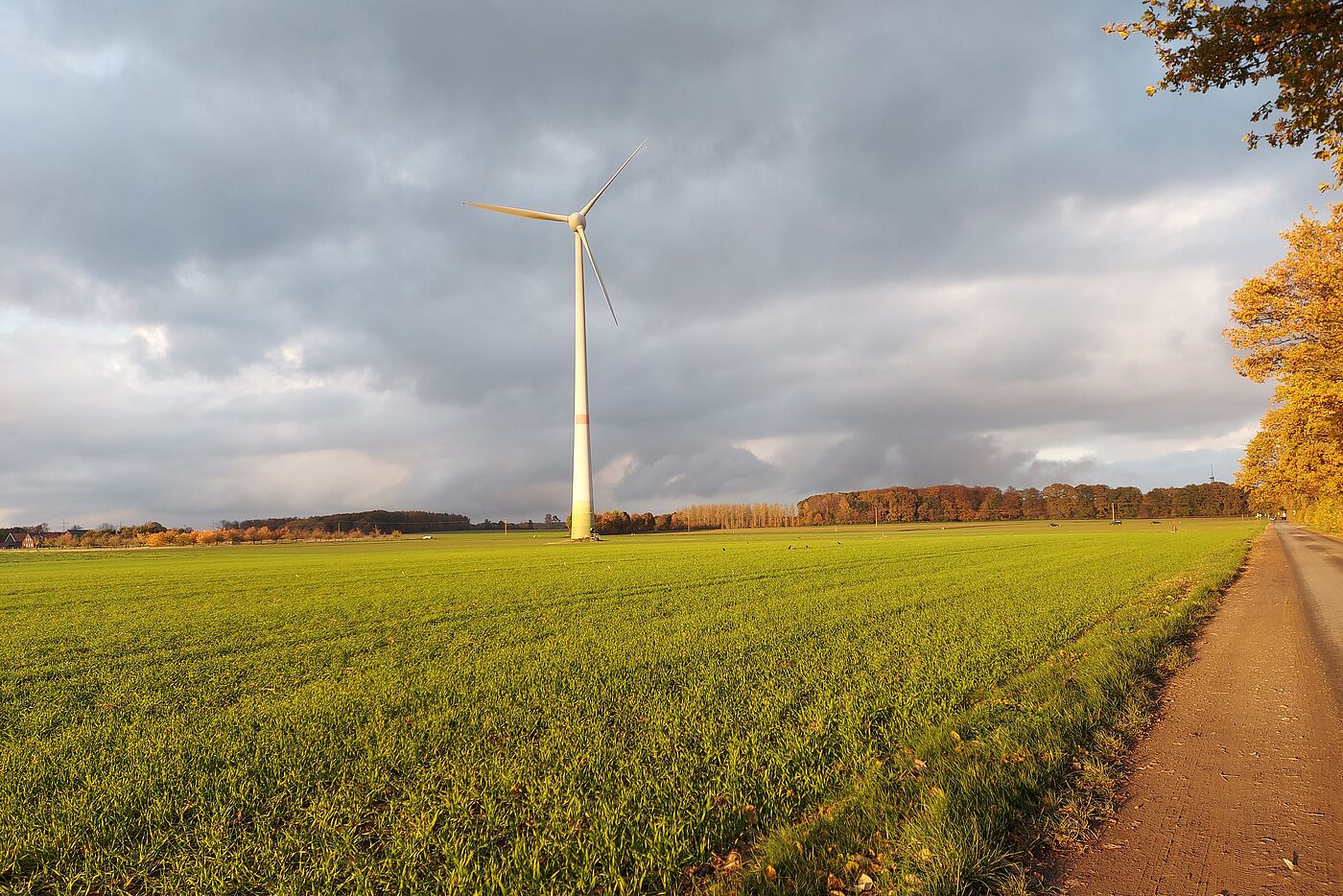 noch einige Sonnenstrahlen auf dem Heimweg