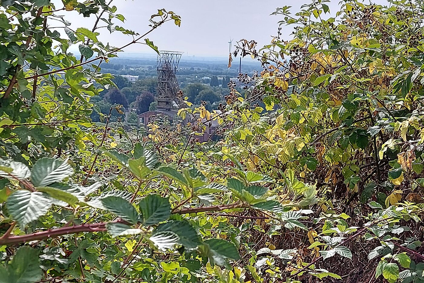 Zeche Ewald Fortsetzung