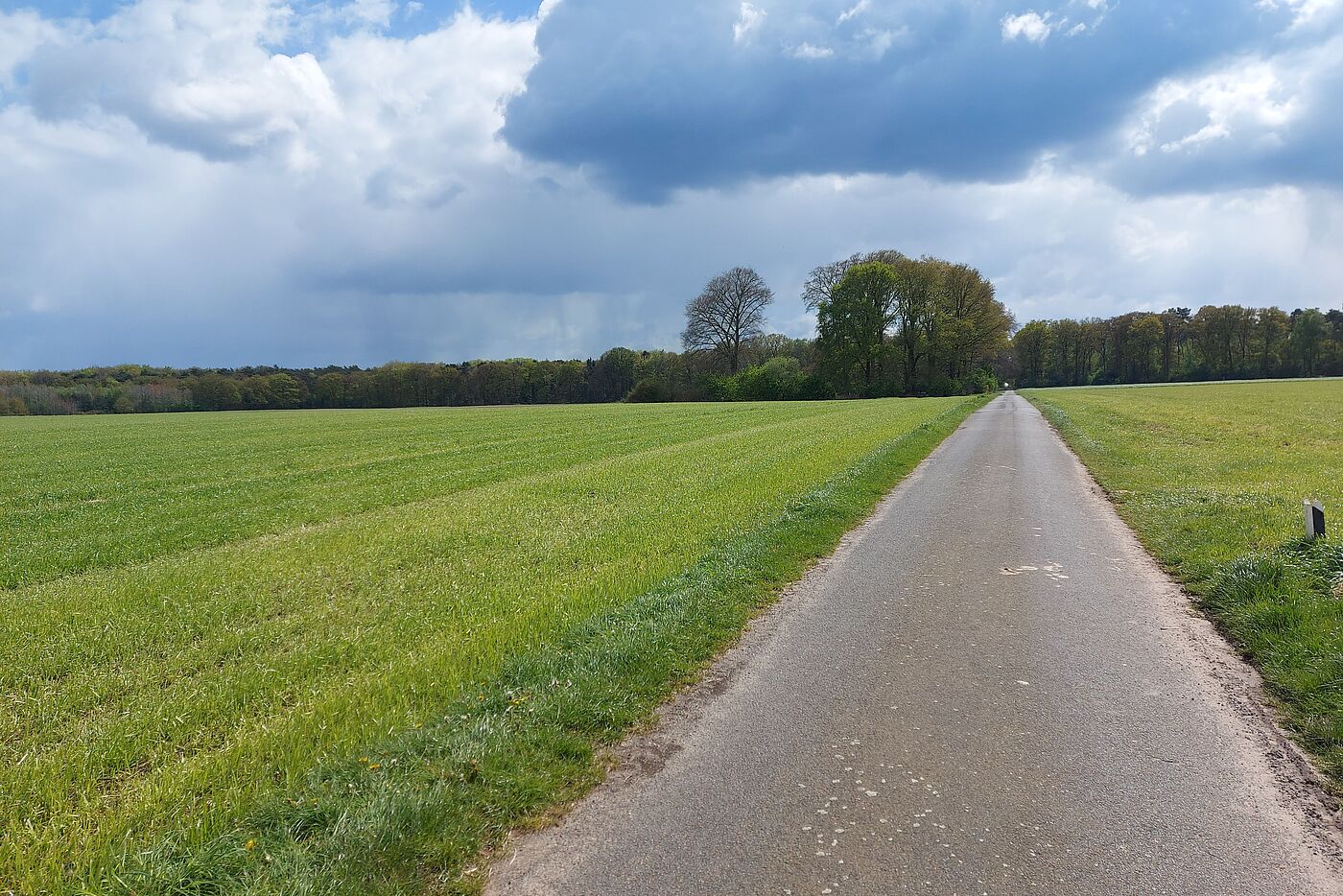 Unser Weg kurz vor Rhade