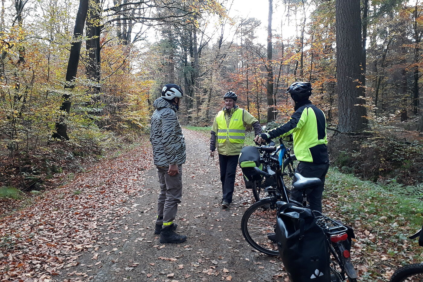 9 Pause im Dämmerwald