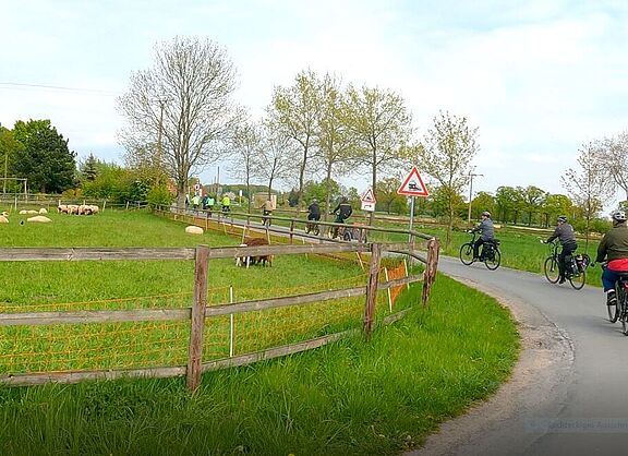 Gruppe Radfahrende01