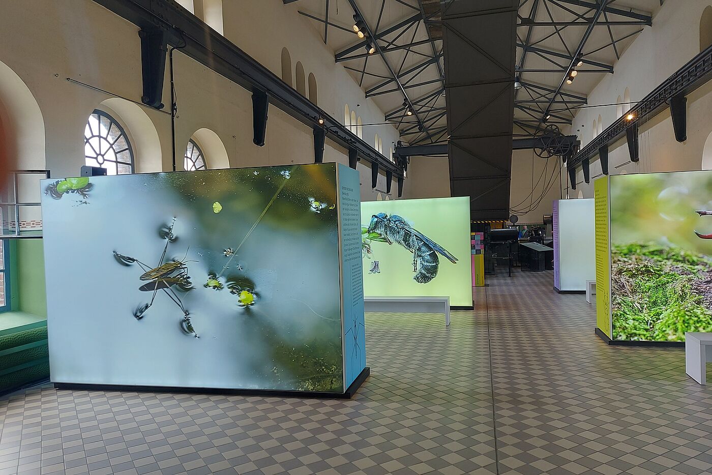 Sonderausstellung Industrie-Insekten