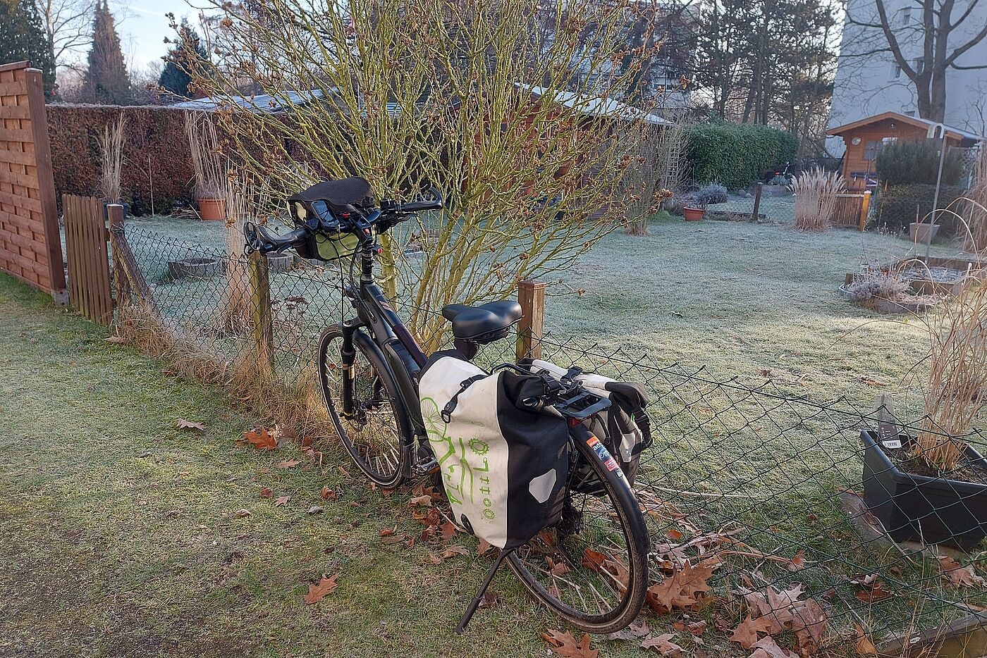 noch frostig morgens