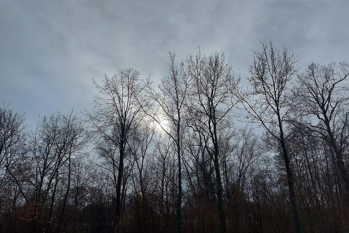 Ab und zu Sonne