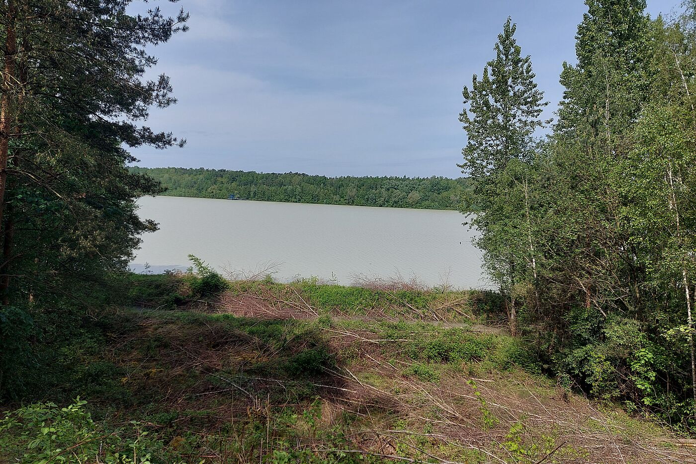 Blick auf den Silbersee III