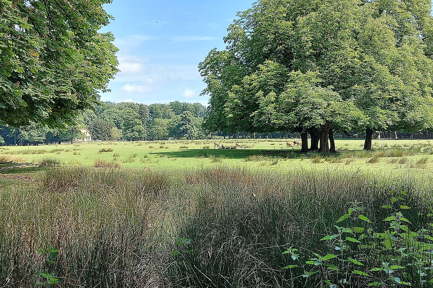 Pause im Wildpark Dülmen