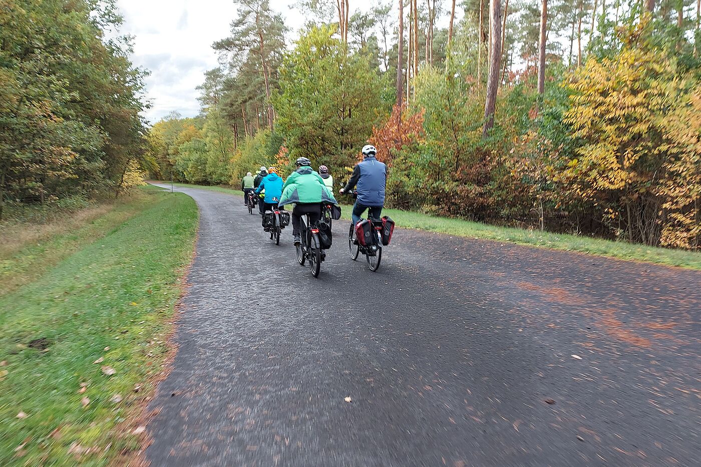 Heimweg durch NSG Borkenberge