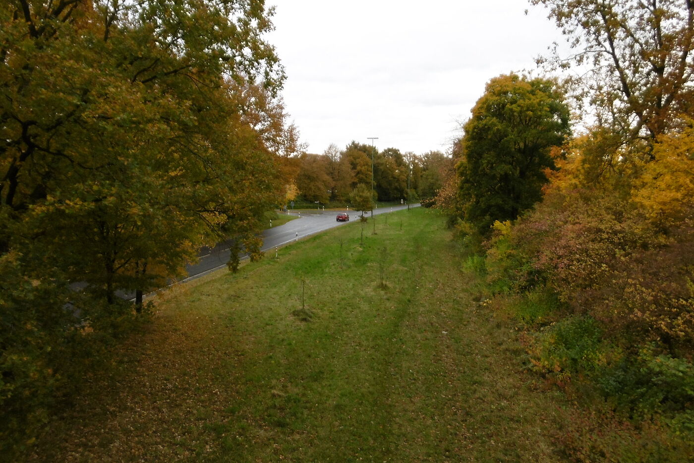 7_rueckgebaute_Strasse_im_Herbstschmuck
