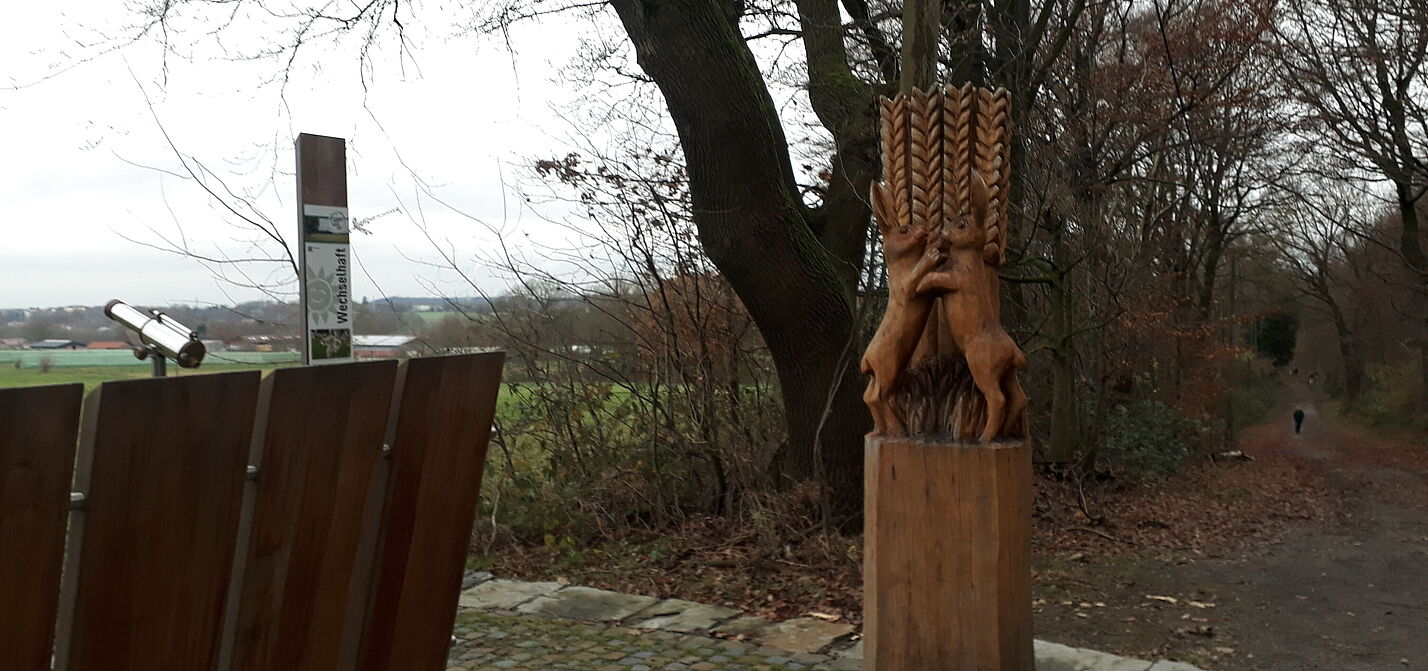 Am_Rand_der_Haard Am_Rand_der_Haard