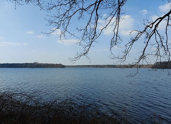 Rund um den See