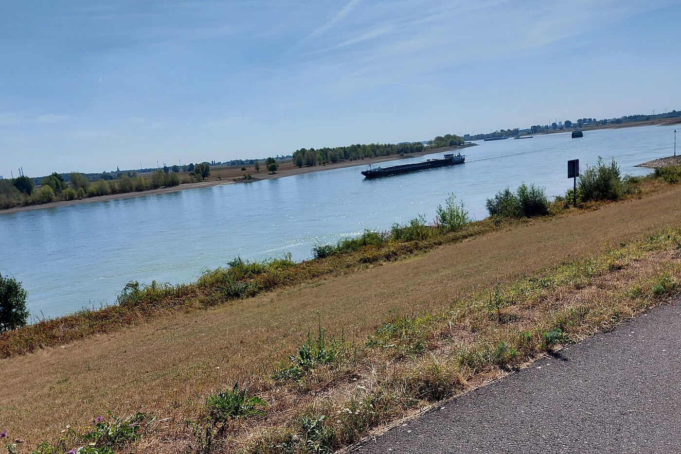 am Rhein entlang