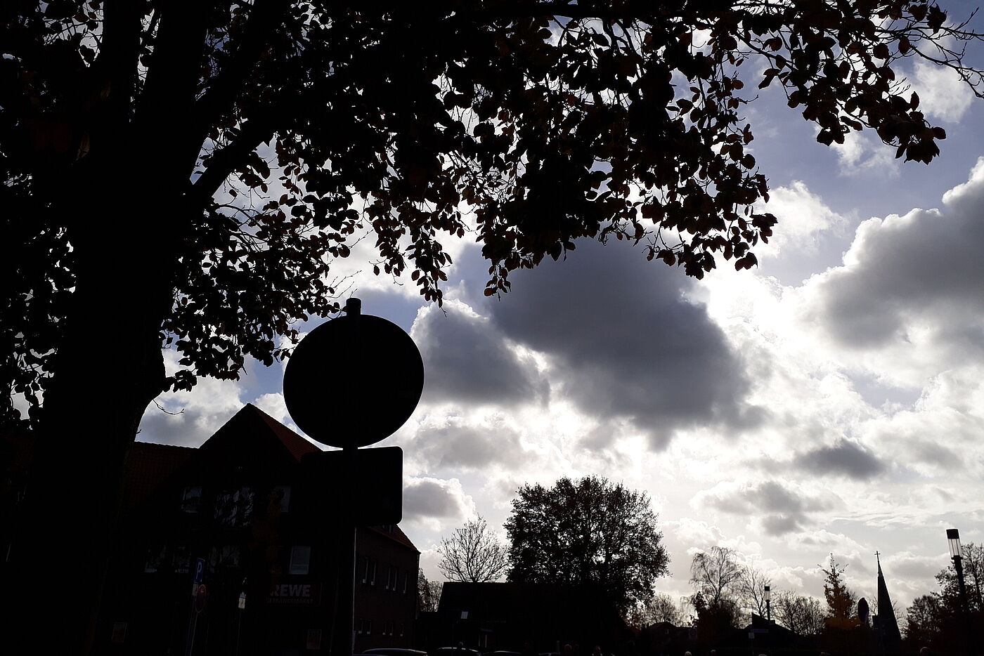 6 Blick zum Himmel vor der Heimfahrt