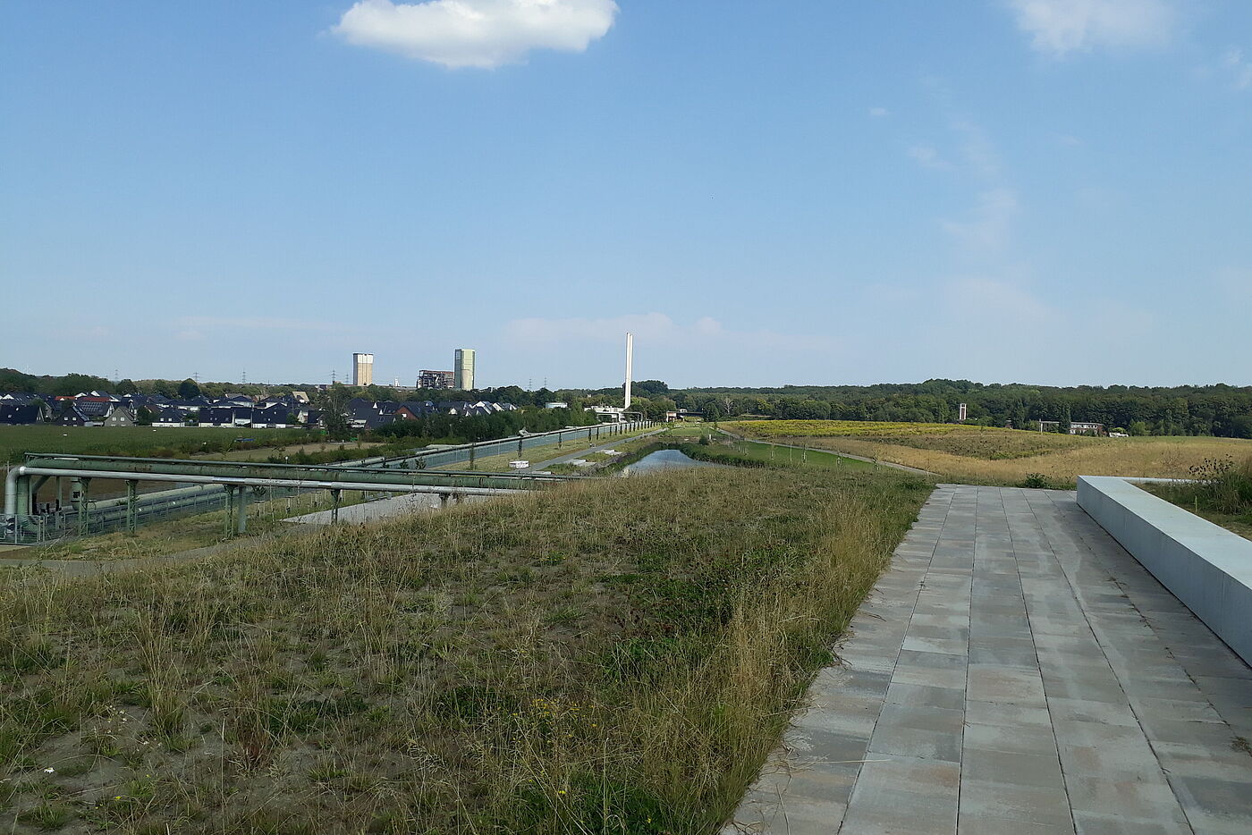 Blick Richtung Westerholt