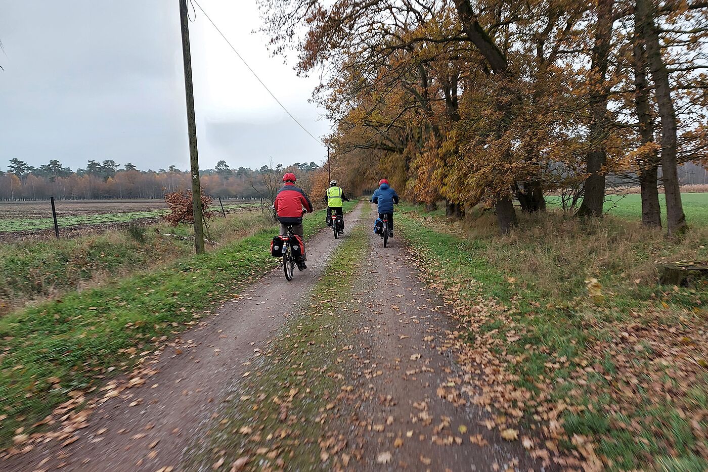 herbstlich Richtung Üfter Mark 