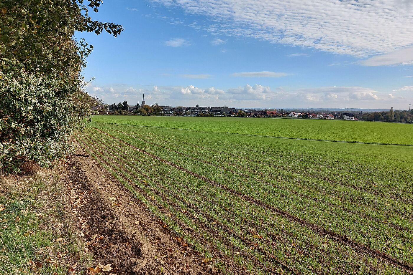 Ziel in Sicht