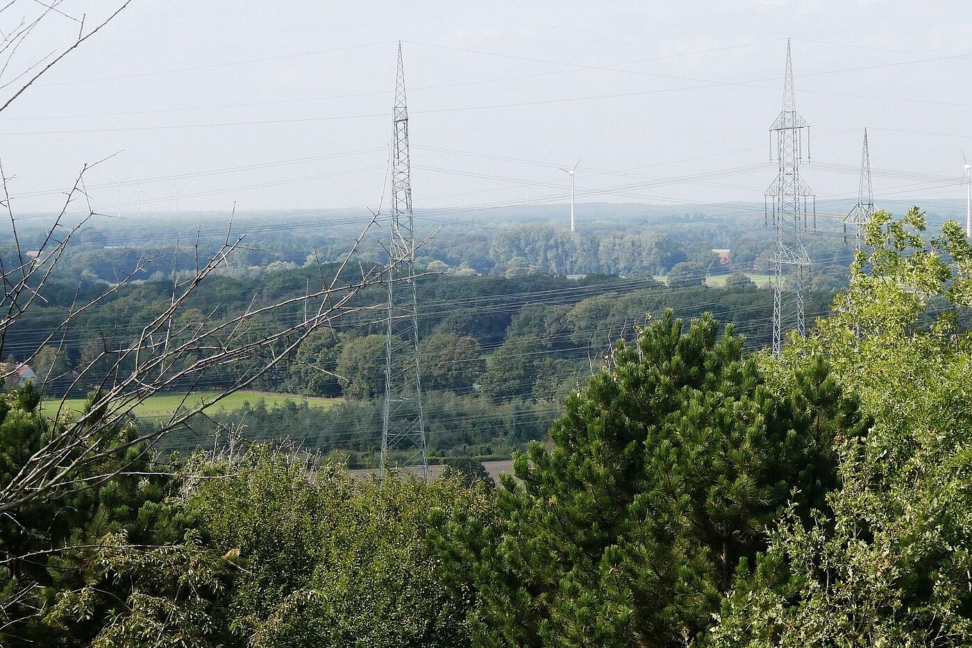 viele Bäume und Stromleitungen beschränken die Aussicht