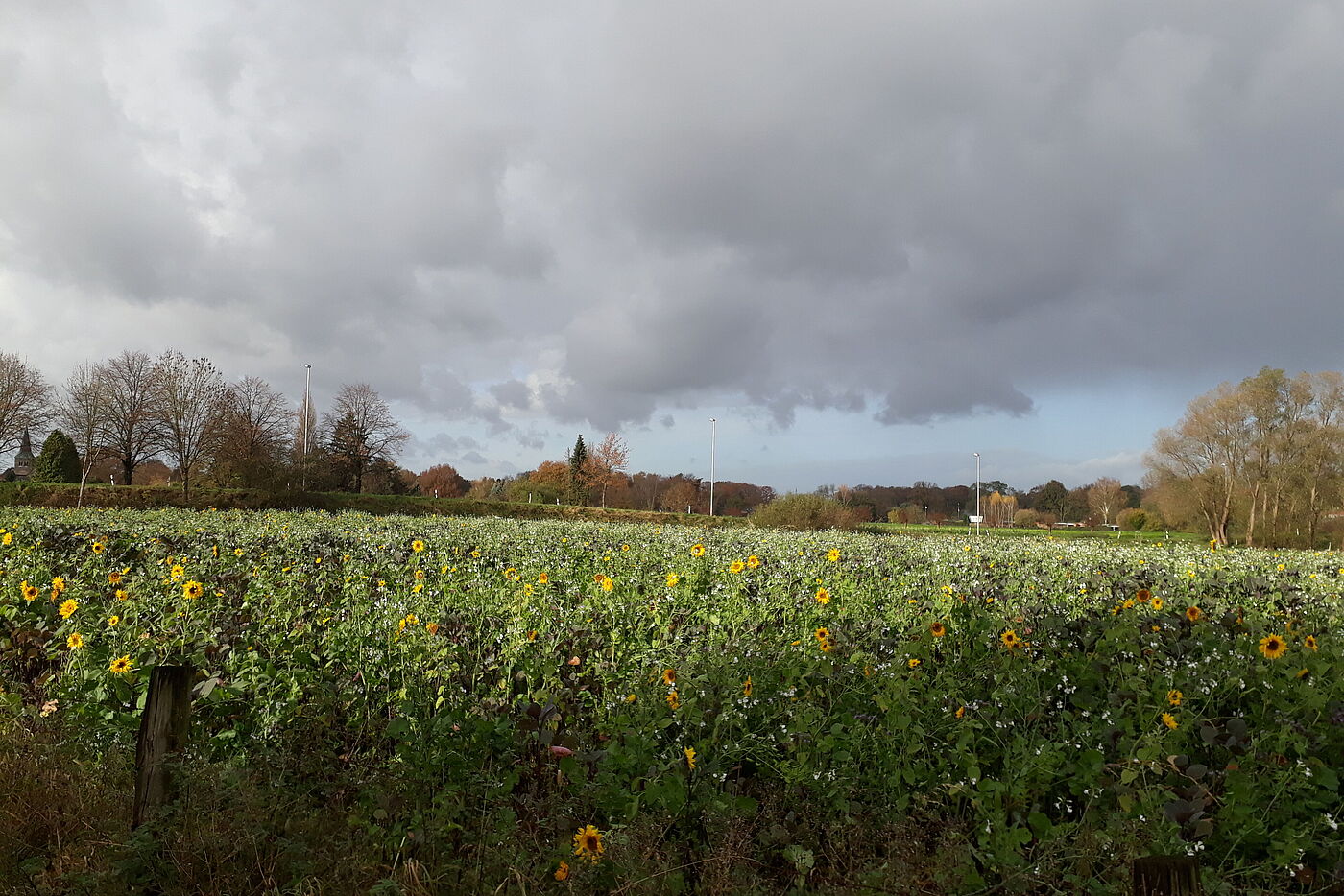 1 dunkle Wolken kurz vor Wulfen