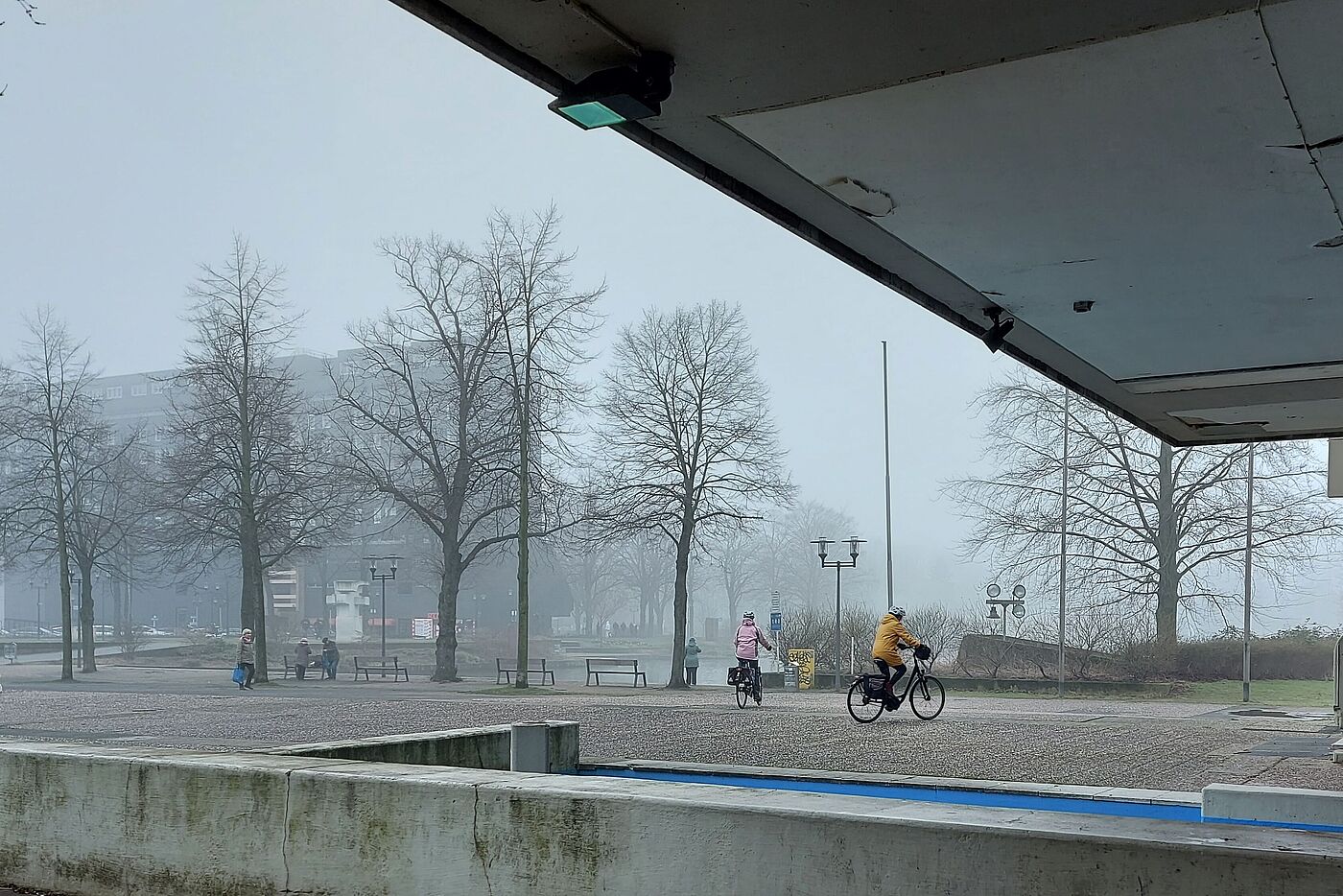 los geht es im Nebel