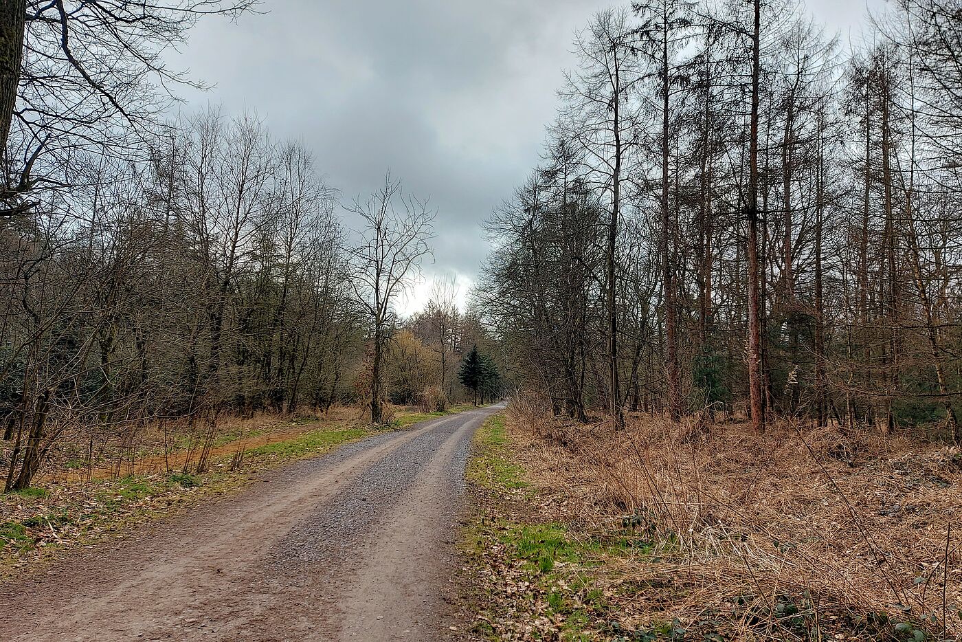 Weiter in Richtung Mutter Wehner