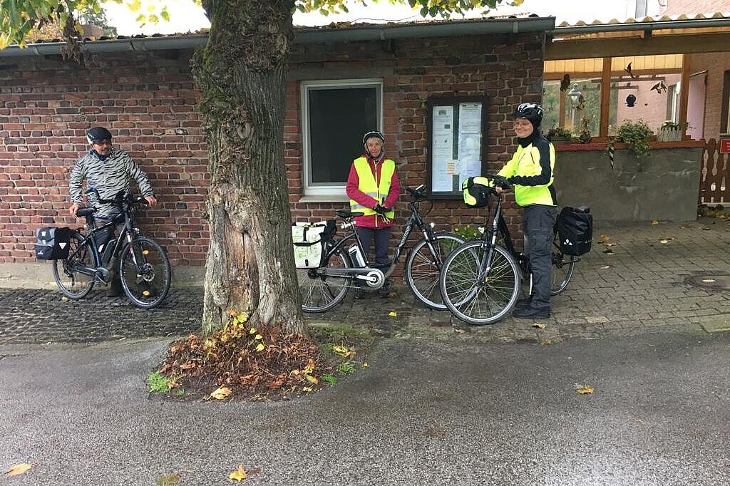 10 Regenpause bei den Gänsen