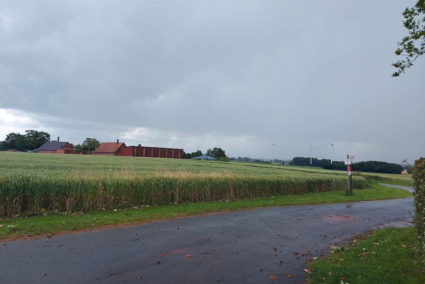 Regen auf einem Wirtschaftsweg zwischen Olfen und Lüdinghausen