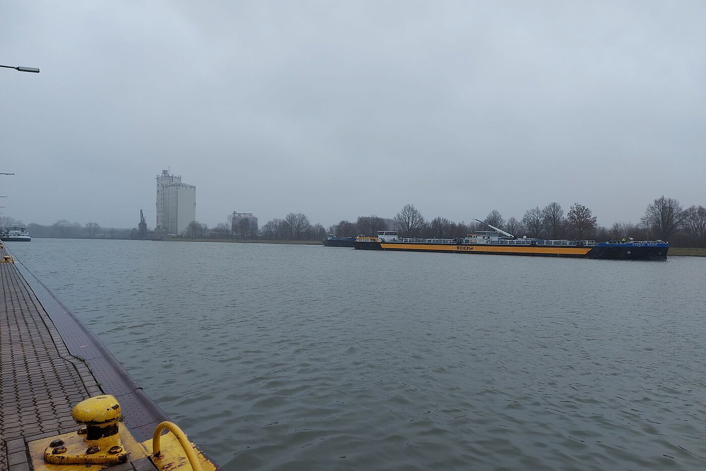 Niesel am Kanal