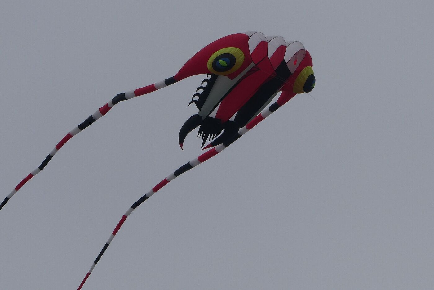 Drachenfest in Lünen