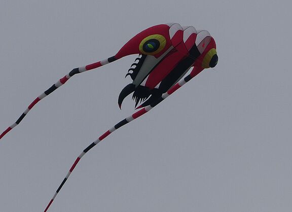 Drachenfest in Lünen