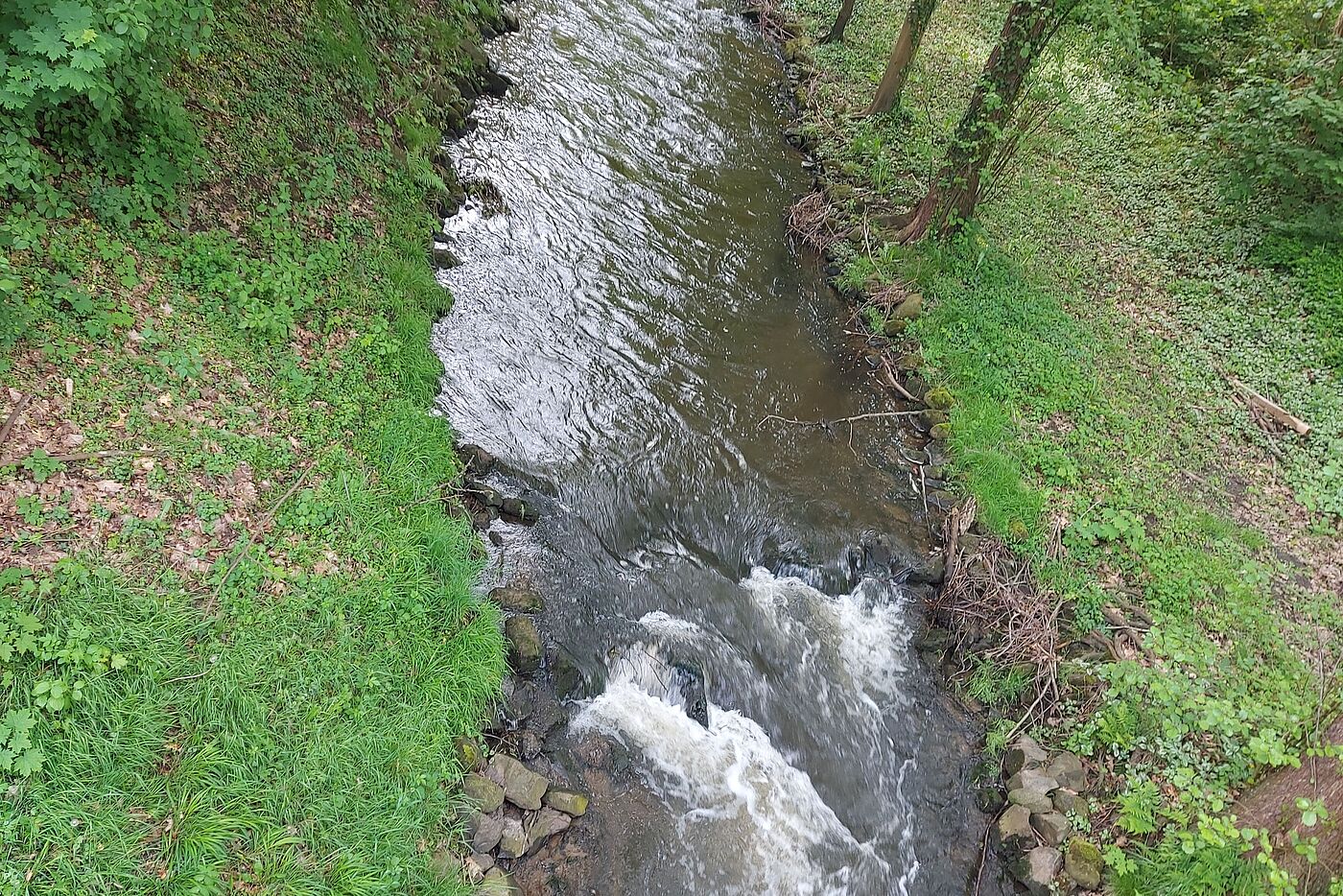 Wir radeln am Sickingmühlenbach entlang
