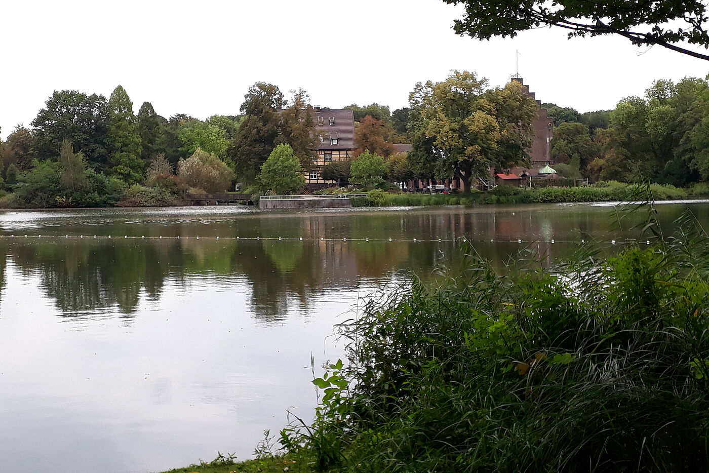 Wittringen_vom_See_aus