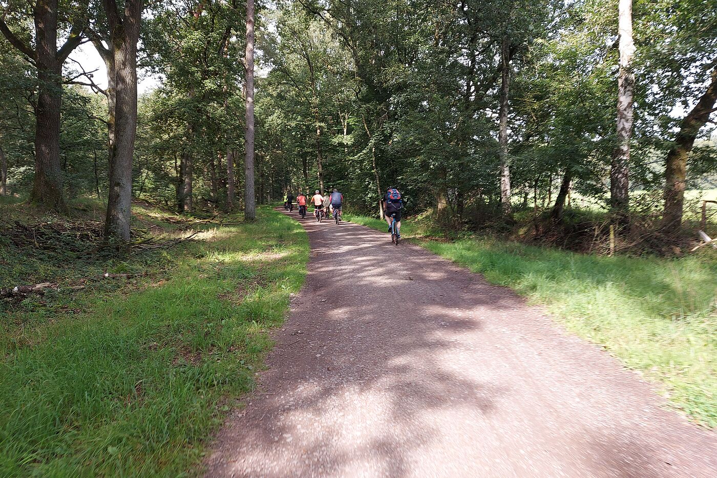 und Wälder
