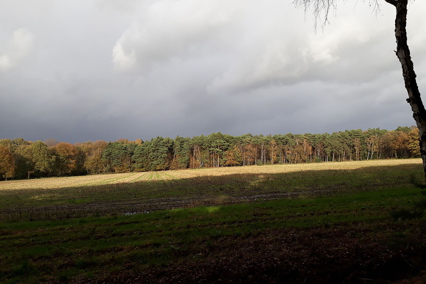 12 in Schermbeck werden wir noch einmal nass