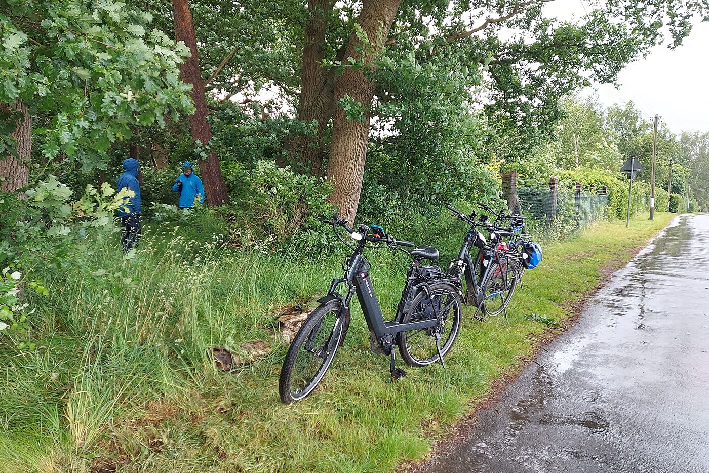 Regen am Anfang der Haard und wir stellen uns unter Bäume