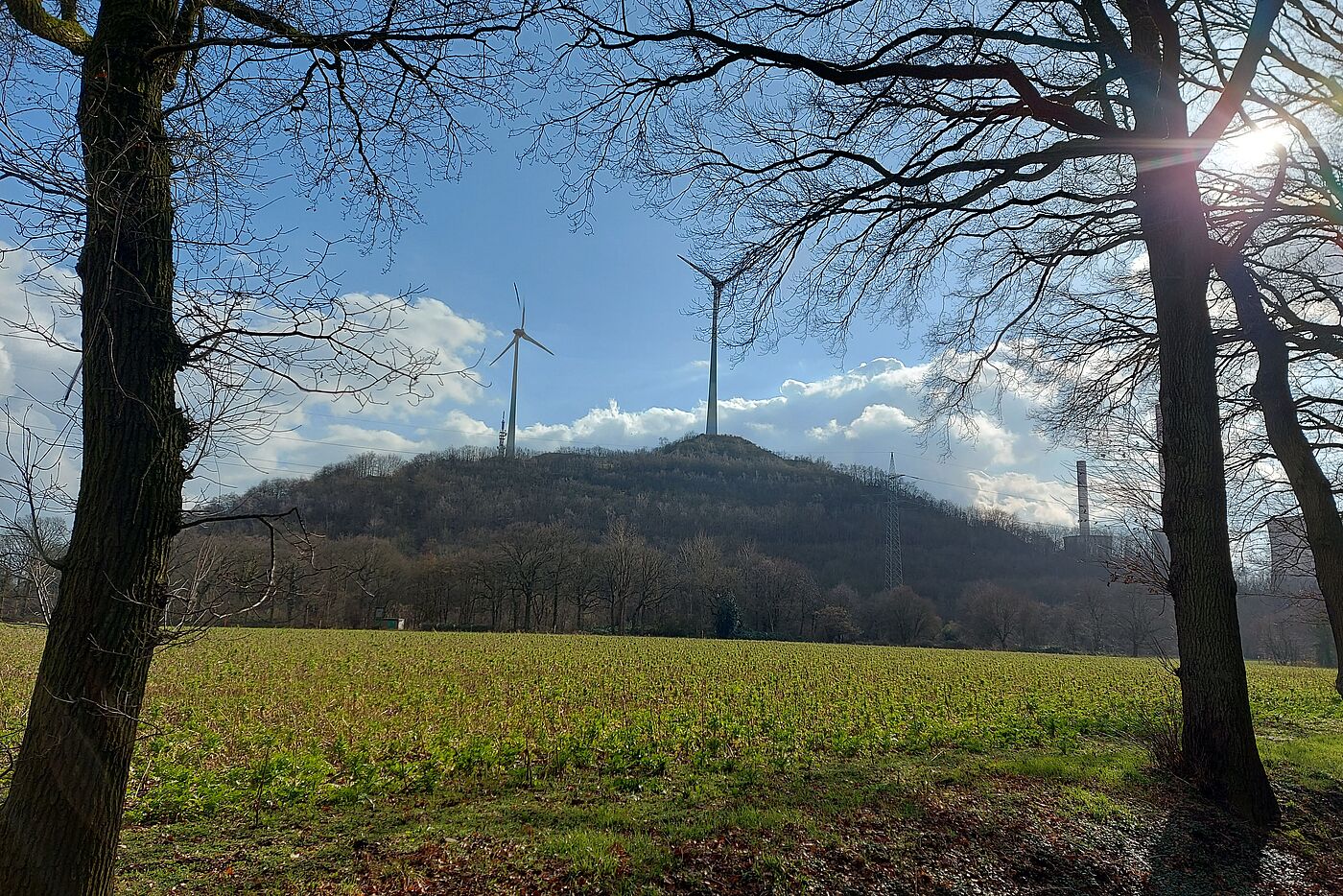 Blick auf die Halde Scholven