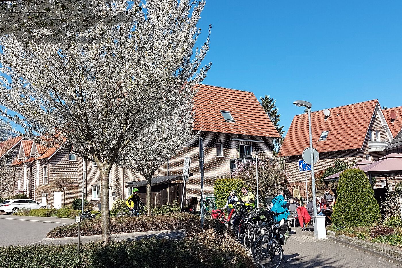 Kirschblüte in Sythen.