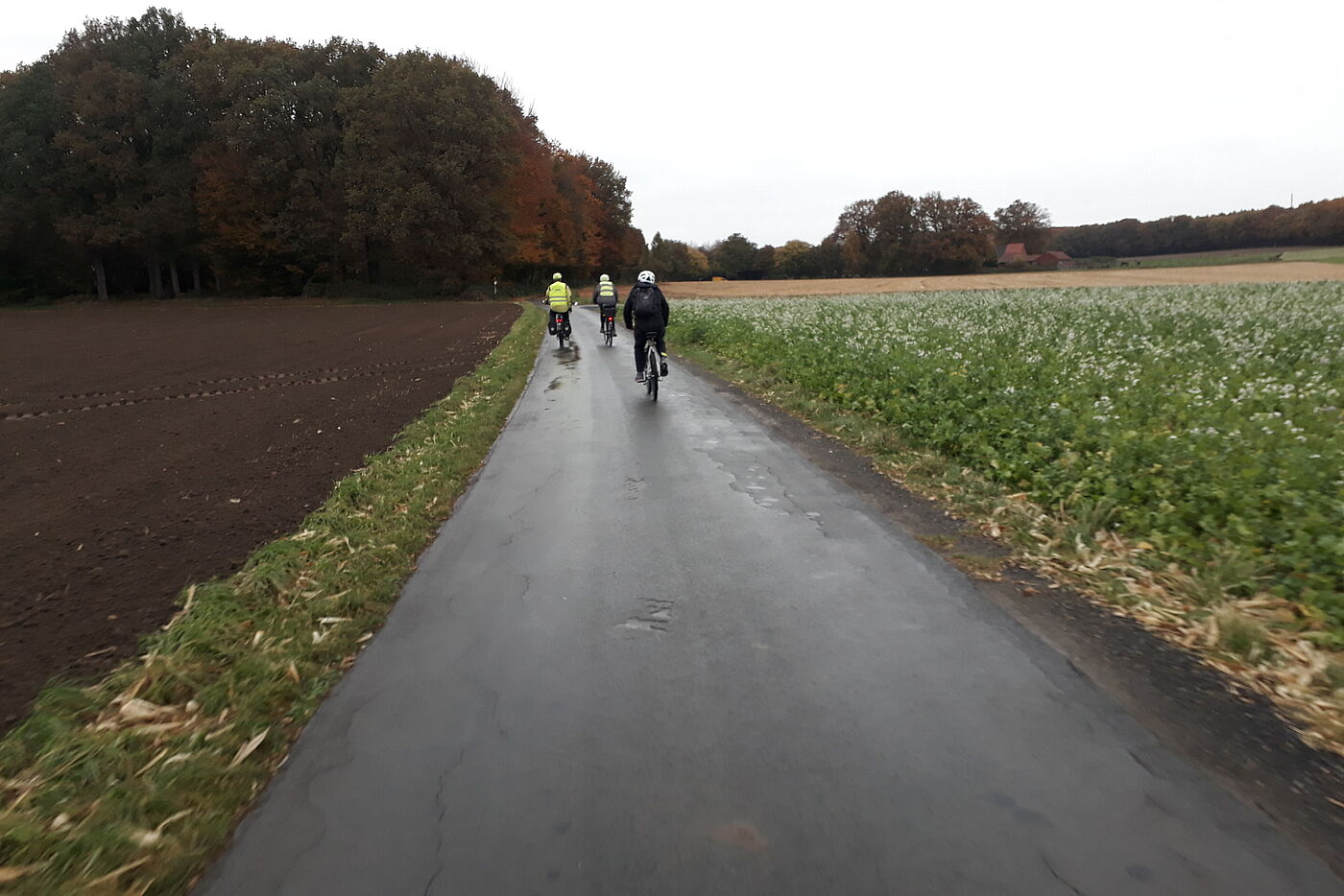1_entspannt_durch_die_staubfreie_herbstliche_Landschaft_radeln
