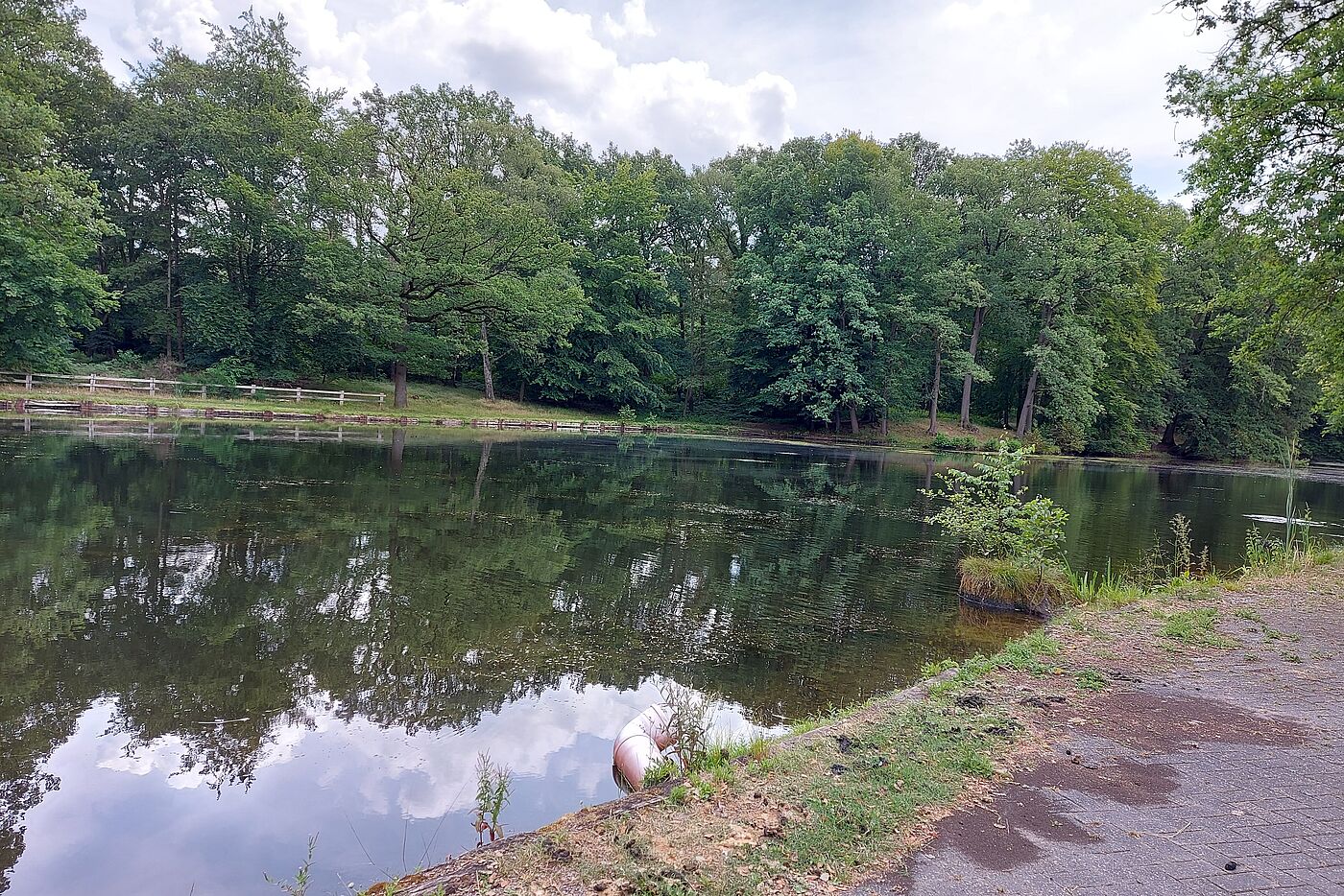Blick auf den grossen Teich