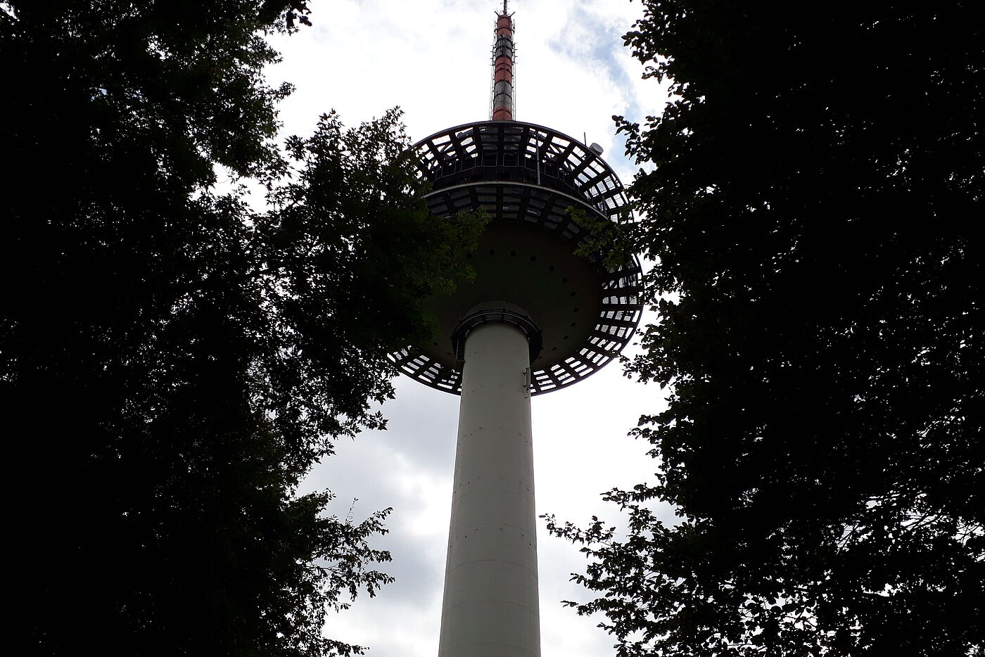 Fernmeldeturm_auf_dem_Waldbeerenberg