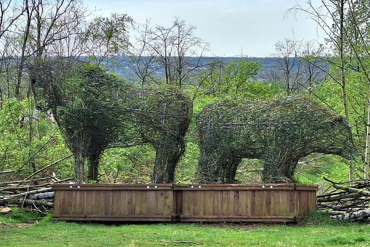 Bulle und Bär aus Büschen geformt, werden nun grün