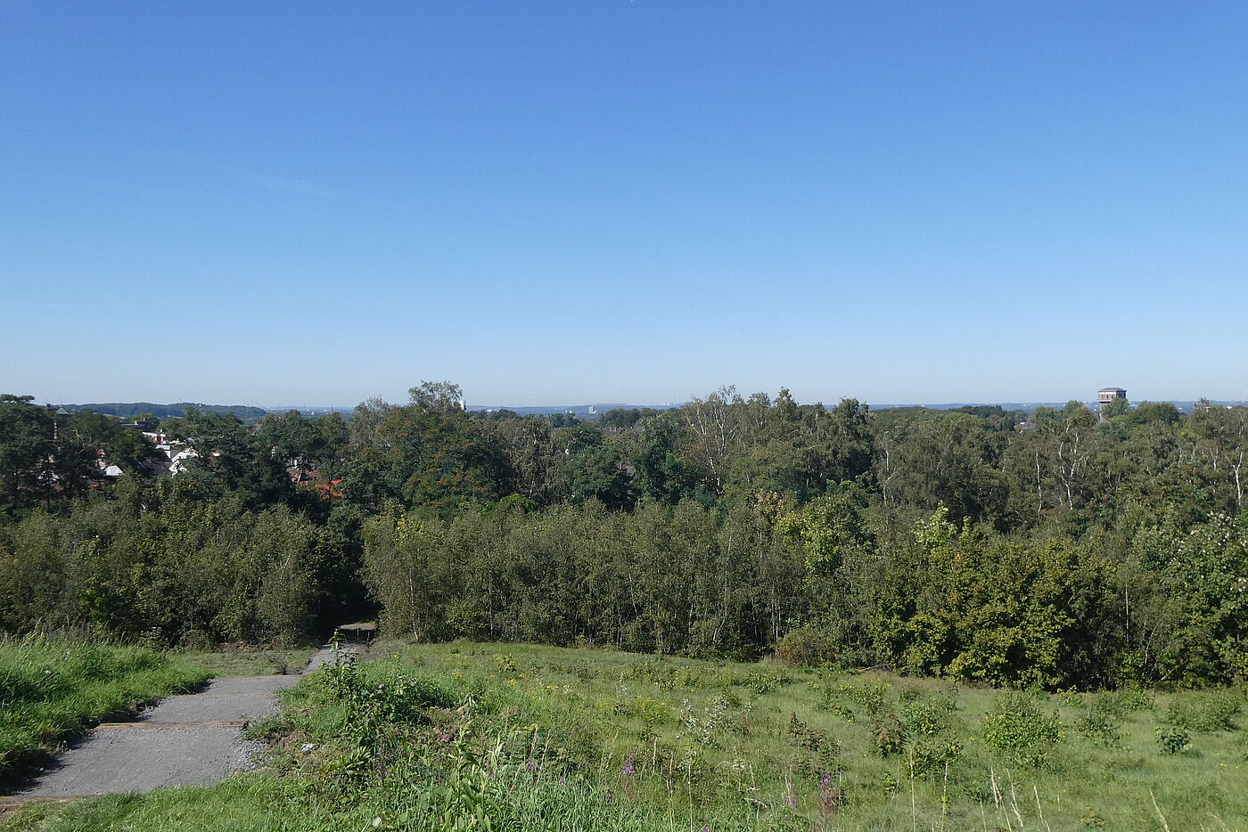 toller Ausblick mit Hammerkopfturm