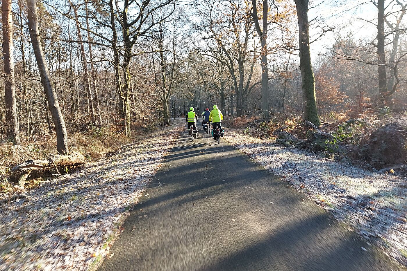 durch winterliche Wälder