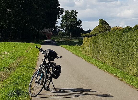 Fahrrad an der Delphinhecke
