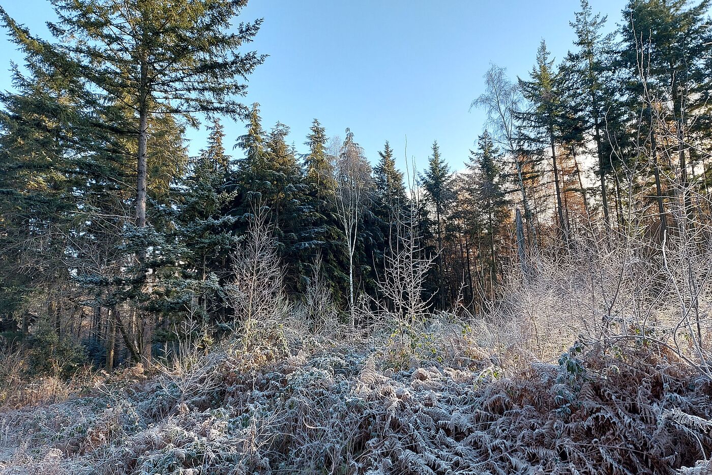 kalt aber sonnig