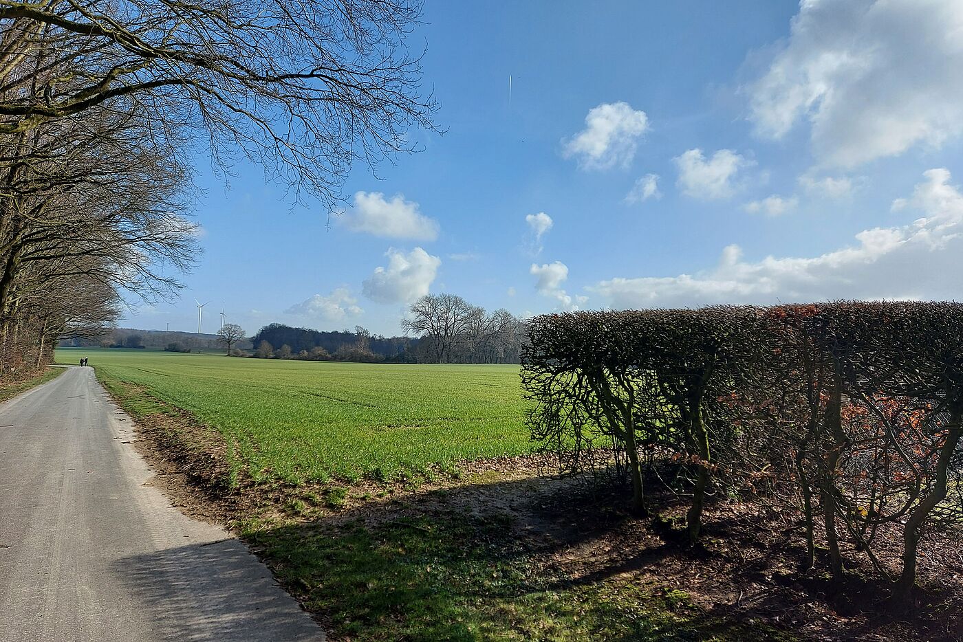 die Sonne hat sich durchgesetzt