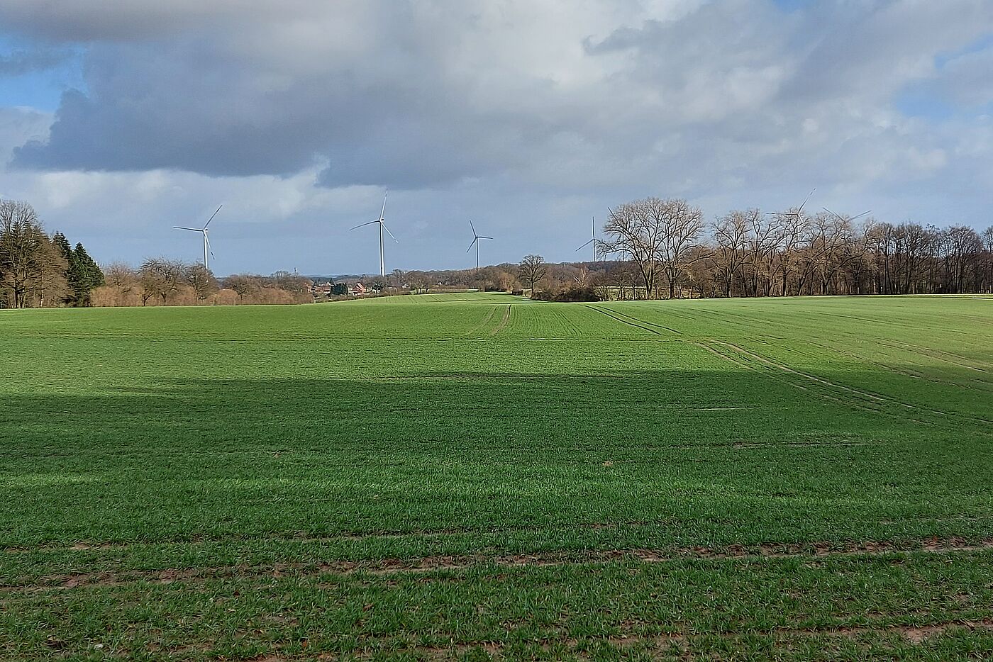 Panorama in Lavesum