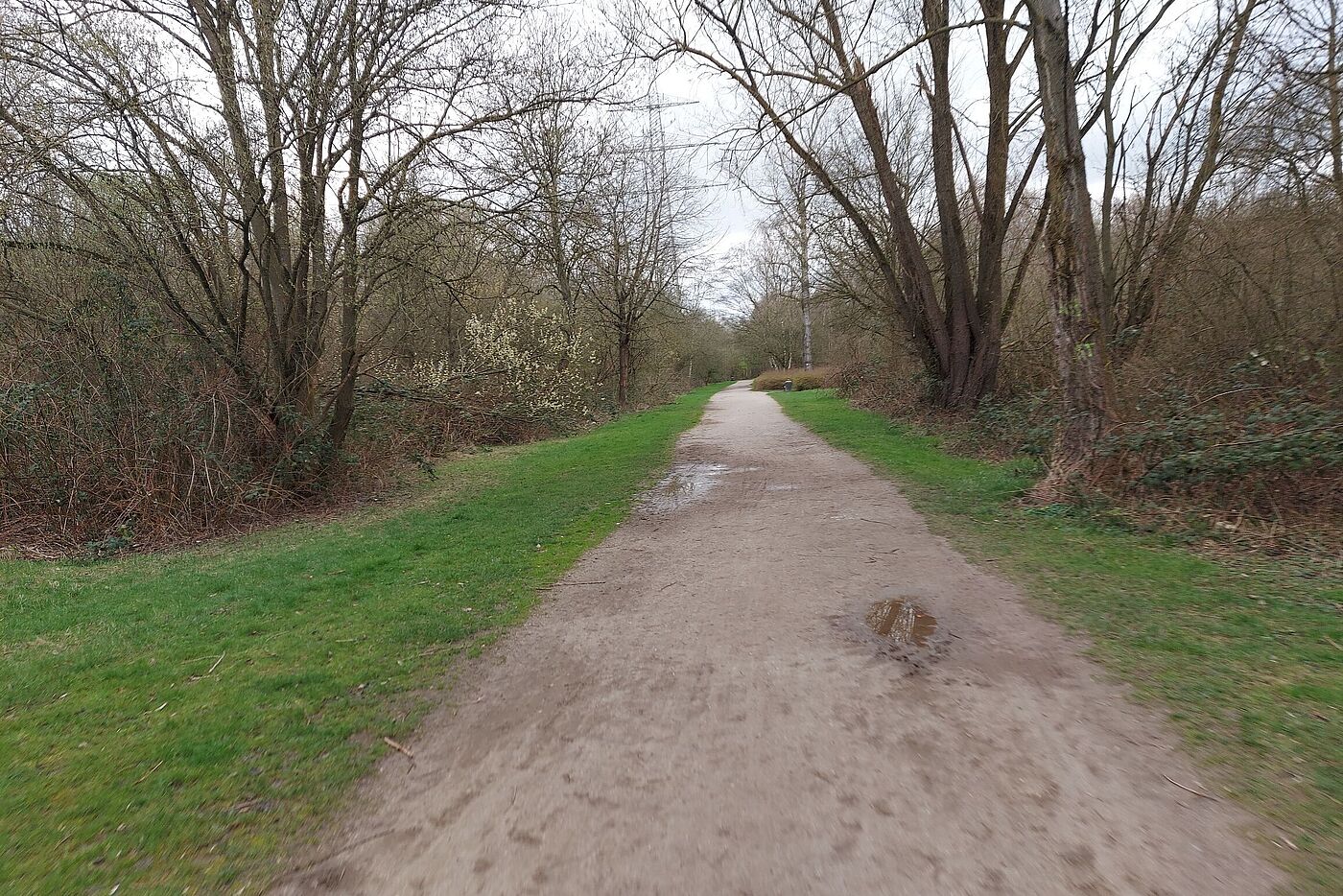 Am Rand des Revierpark Nienhausen