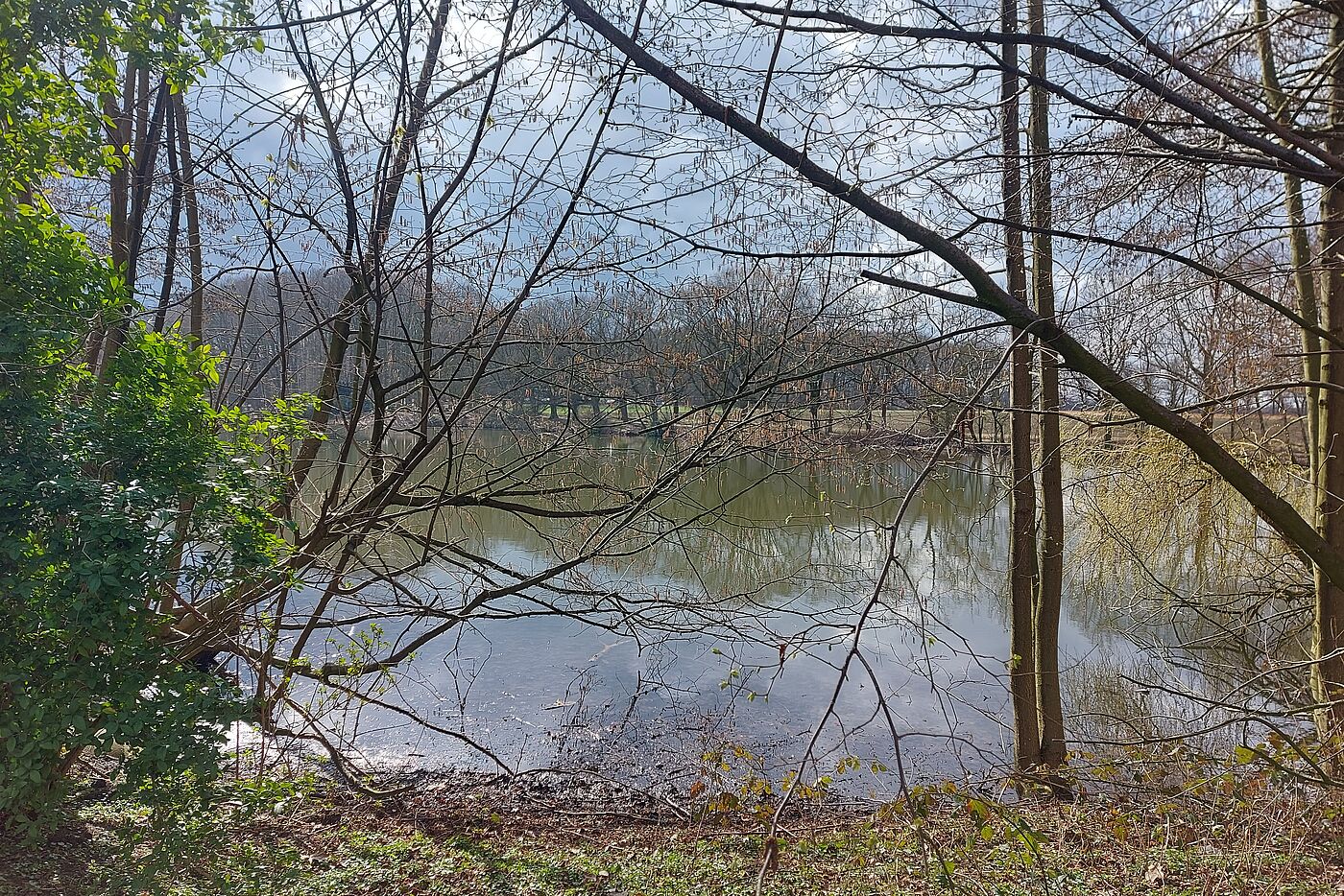 Mollbeck-Teich 1