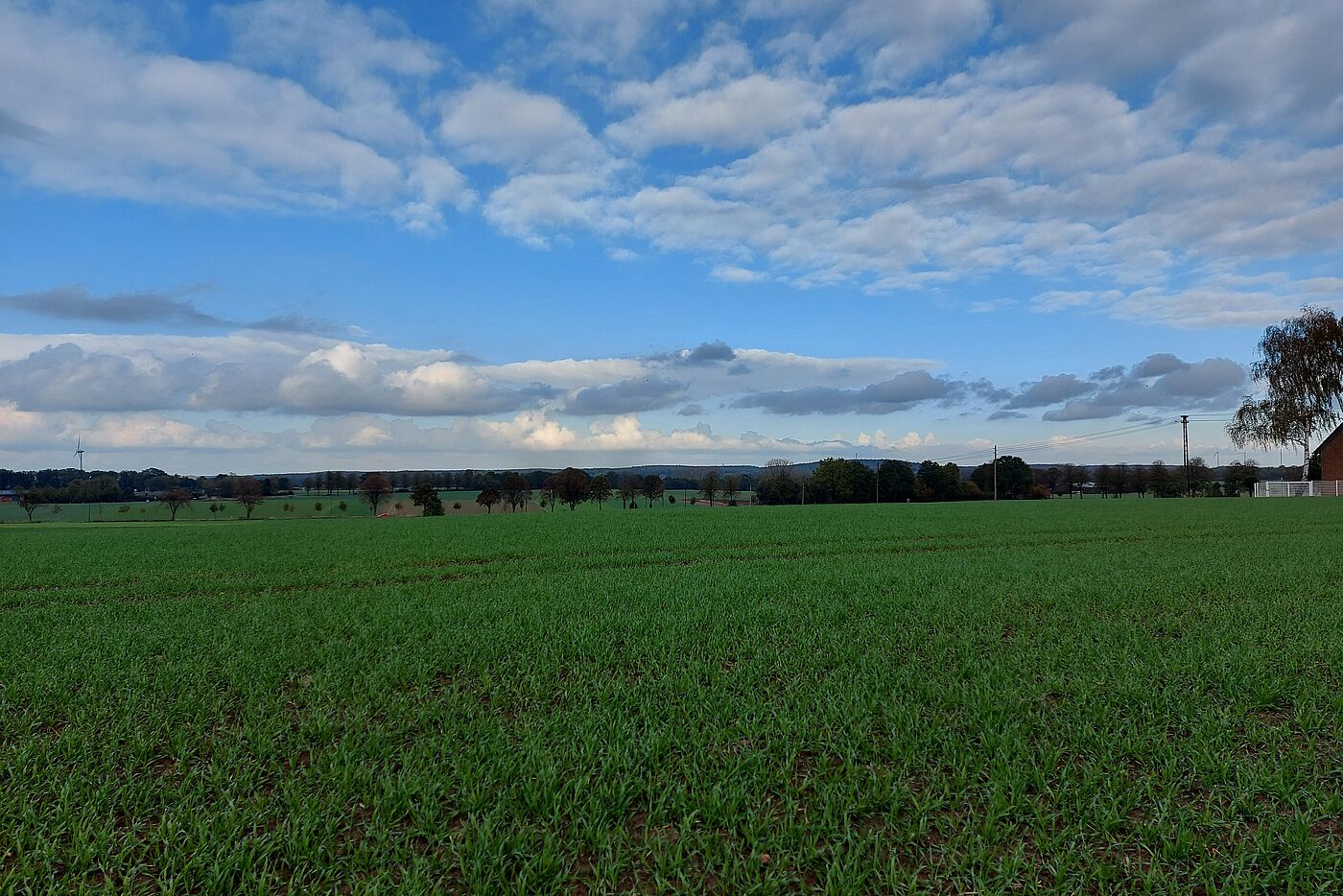 Panorama - Vestischer Höhenrücken