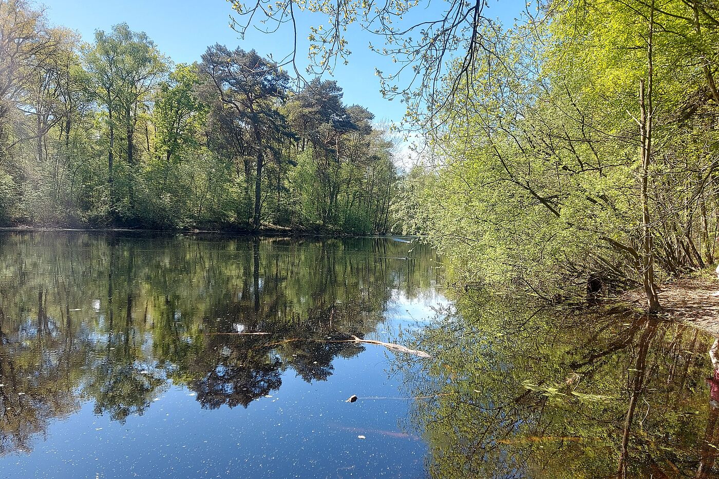 Das Kranenmeer