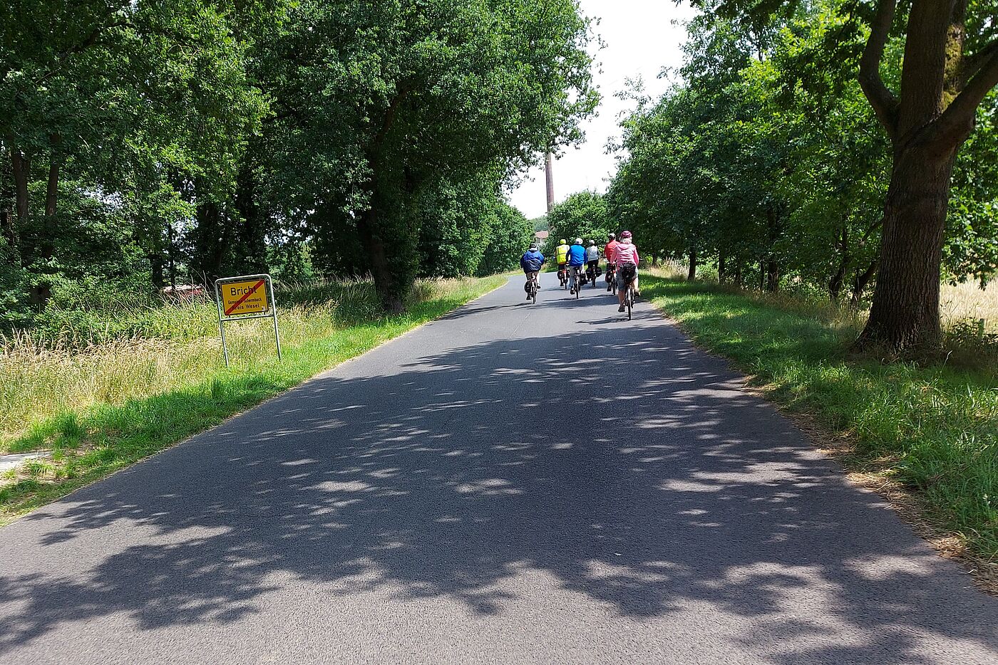auf dem Heimweg mit Sonne